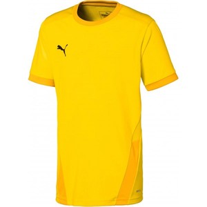 Dres Puma teamGOAL 23 Jersey Jr