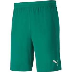 Šortky Puma teamFINAL 21 knit Shorts