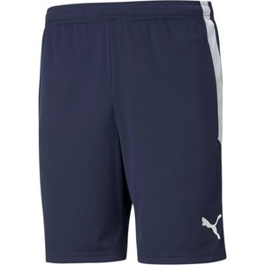 Šortky Puma teamLIGA Training Shorts