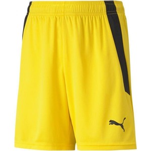 Šortky Puma teamLIGA Shorts Jr