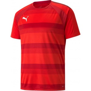 Dres Puma teamVISION Jersey