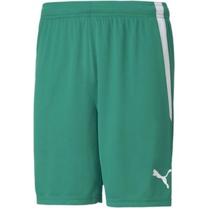 Šortky Puma teamLIGA Shorts