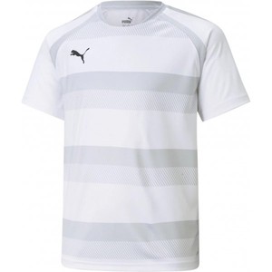 Dres Puma teamVISION Jersey Jr