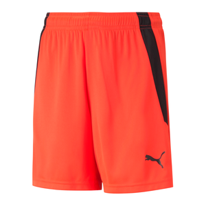 Šortky Puma teamLIGA Shorts Jr