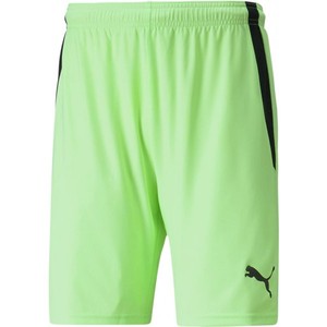 Šortky Puma teamLIGA Shorts