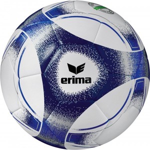 Lopta Erima Hybrid 2.0 Trainingsball