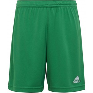 Šortky adidas ENT22 SHO Y