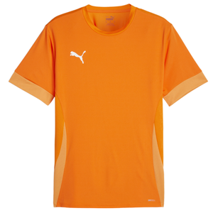 Dres Puma teamGOAL Matchday Jersey