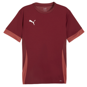 Dres Puma teamGOAL Matchday Jersey