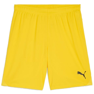 Šortky Puma teamGOAL Short