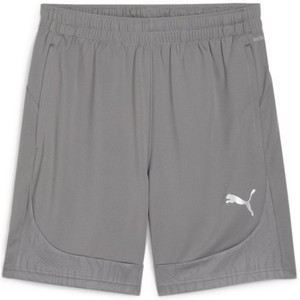 Šortky Puma teamFINAL Training Shorts