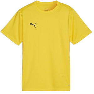 Tričko Puma  teamGOAL T-Shirt