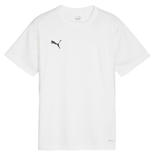 Tričko Puma  teamGOAL T-Shirt