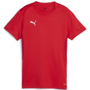 Dres Puma  teamGOAL Jersey W