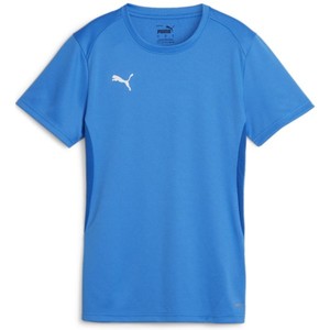 Dres Puma  teamGOAL Jersey W