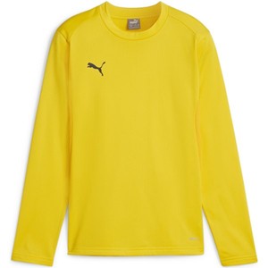 Mikina Puma teamGOAL Training Sweat Jr