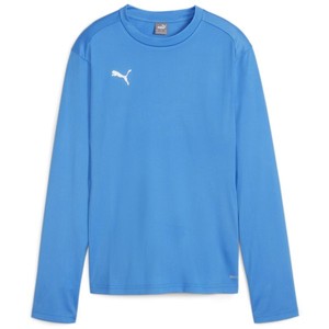 Mikina Puma teamGOAL Training Sweat Wmns