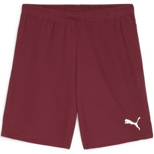 Šortky Puma teamGOAL Shorts