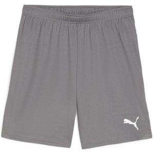 Šortky Puma teamGOAL Shorts