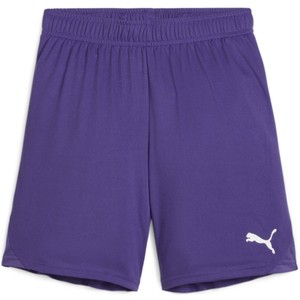 Šortky Puma teamGOAL Shorts Jr