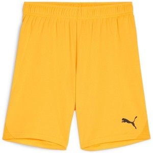 Šortky Puma teamGOAL Shorts Jr