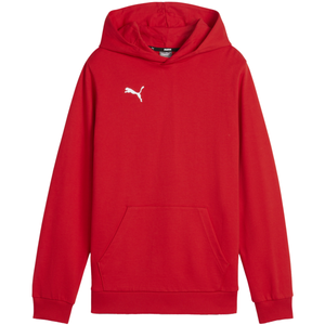 Mikina s kapucňou Puma  teamGOAL Casuals Hoody Kids