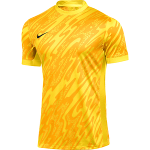 Dres Nike M NK DF GARDIEN V GK JSY SS