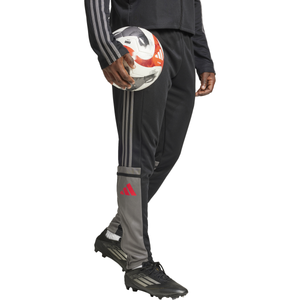 Nohavice adidas SQUADRA25 TR PNT