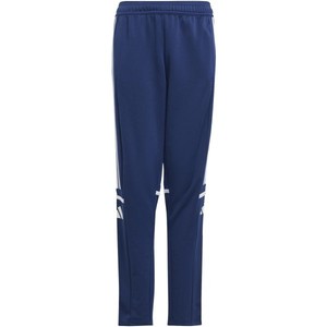 Nohavice adidas SQUADRA25 TR PNT Y