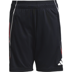 Šortky adidas TIRO25C TR SHOY