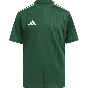 Dres adidas CAMPEON25 JSY Y