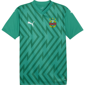 Dres Puma  SK Rapid Goalkeeper Jersey 2024/25