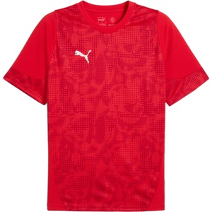 Dres Puma  teamCUP Training Jersey
