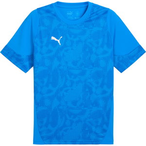 Dres Puma  teamCUP Training Jersey