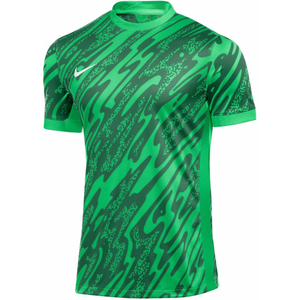 Dres Nike M NK DF GARDIEN V GK JSY SS
