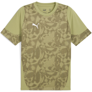Dres Puma  teamCUP Jersey