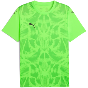 Dres Puma  teamULTIMATE Jersey