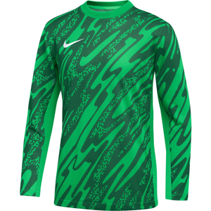 Dres s dlhým rukávom Nike Y NK DF GARDIEN V GK JSY LS