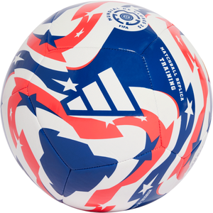 Lopta adidas  FCWC Training Ball