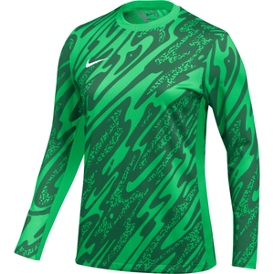 Dres s dlhým rukávom Nike  Gardien V Goalkeeper Jersey Women