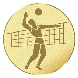 Emblém volejbal na pohár a medailu