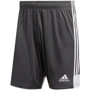 Šortky adidas tastigo 19 short