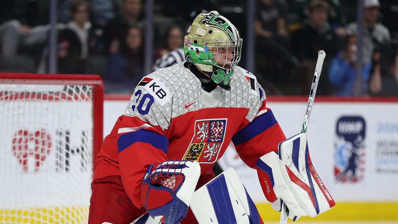 Michal Oršulák mal nemalý podiel na českom striebre na MSJ 2026. Podľa NHL Central Scouting patrí k najlepším brankárom pre najbližší draft. (AP Photo/Matt Krohn)