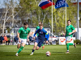 Kapitán Zoran Záhradník (č.5) Stan Ashbee (č.4)v zápase Slovensko 19 - Írsko 19 v Dunajskej Strede (26.3.2024). 