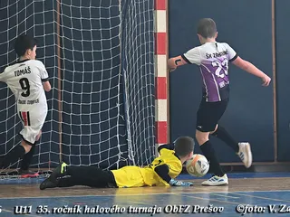 REAKCIE KOMPETENTNÝCH NA MLÁDEŽNÍCKU TÉMU