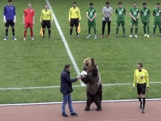 Rusi sa pred MS zviditeľnili pofidérnym vystúpením medveďa pred zápasom