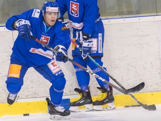 Adam Liška patril na svetovom šampionáte k najlepším slovenským hokejistom.