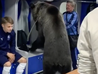 Zaujímavý spôsob motivácie. Za hráčmi prišiel do šatne medveď