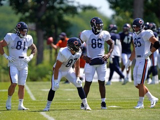 Hráči Chicago Bears z NFL.