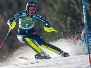Anna Swennová Larssonová - ilustračná fotografia.